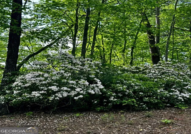 Photo 3 of Land for sale at Lot 27 Prospect Ridge, Blue Ridge, GA 30513 | MLS# 10848547 | Listing updated on 2026-09-18