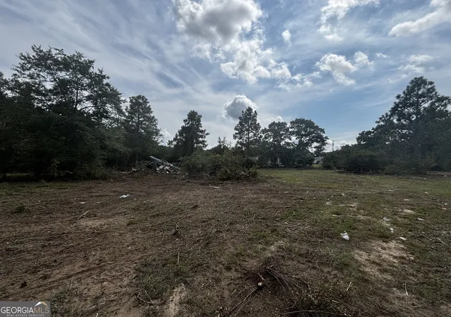 Photo 1 of Land for sale at 1013 Blasingame Rd, Fort Valley, GA 31030 | MLS# 10839141 | Listing updated on 2026-09-14
