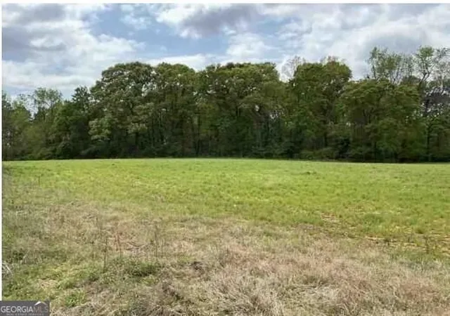Photo 1 of Land for sale at 1325a Holland Dr, Byromville, GA 31007 | MLS# 10843144 | Listing updated on 2026-09-14