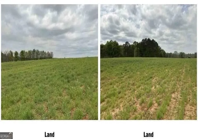 Photo 3 of Land for sale at 1325a Holland Dr, Byromville, GA 31007 | MLS# 10843144 | Listing updated on 2026-09-14