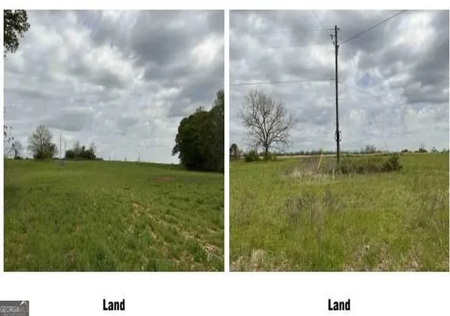 Photo 4 of Land for sale at 1325a Holland Dr, Byromville, GA 31007 | MLS# 10843144 | Listing updated on 2026-09-14