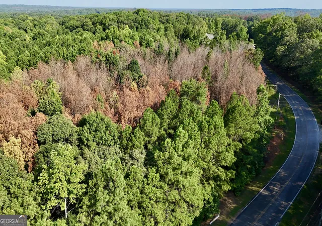 Photo 1 of Land for sale at 0 Tract B Cool Springs Rd, Winston, GA 30187 | MLS# 10841373 | Listing updated on 2026-09-07
