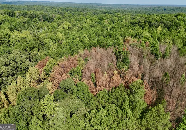 Photo 3 of Land for sale at 0 Tract B Cool Springs Rd, Winston, GA 30187 | MLS# 10841373 | Listing updated on 2026-09-07
