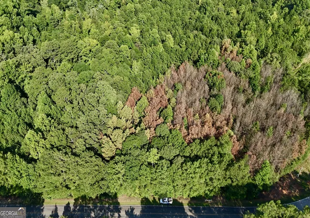 Photo 3 of Land for sale at 0 Tract B Cool Springs Rd, Winston, GA 30187 | MLS# 10841373 | Listing updated on 2026-09-07