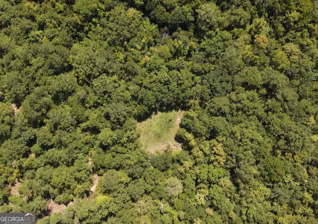 Photo 3 of Land for sale at 2055 W Bayou Rd Sw, Milledgeville, GA 31061 | MLS# 10841924 | Listing updated on 2026-09-08