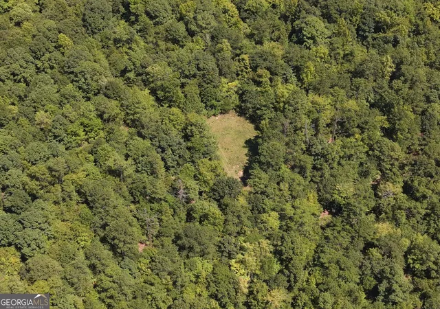 Photo 3 of Land for sale at 2055 W Bayou Rd SW, Milledgeville, GA 31061 | MLS# 10841924 | Listing updated on 2026-09-08