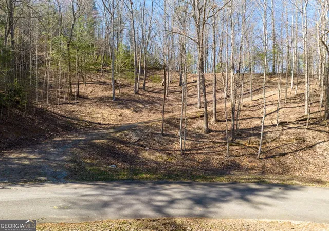 Photo 2 of Land for sale at Lot 508 Chicasaw Dr, Ellijay, GA 30540 | MLS# 10839777 | Listing updated on 2026-09-23