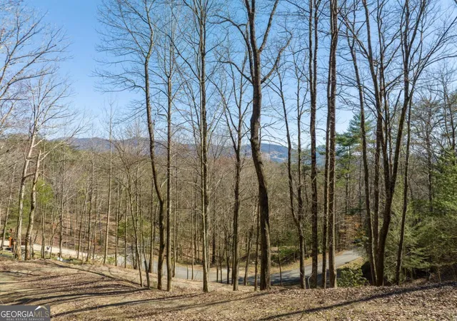 Photo 3 of Land for sale at Lot 508 Chicasaw Dr, Ellijay, GA 30540 | MLS# 10839777 | Listing updated on 2026-09-23