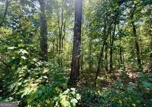 Photo 5 of Sale Pending at 40 Crescent Dr, Toccoa, GA 30577 | MLS# 10838744 | Listing updated on 2026-09-13