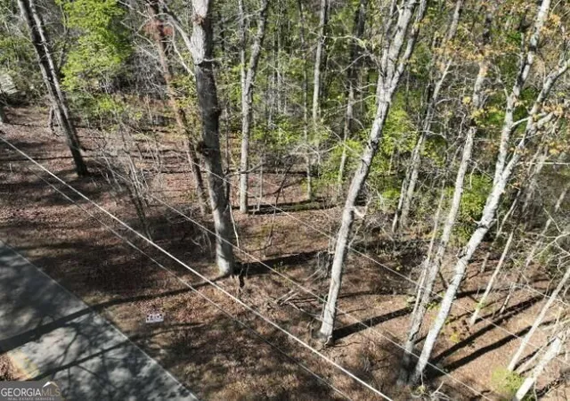Photo 3 of Land for sale at 7816 Beachwood Dr, Murrayville, GA 30564 | MLS# 10851904 | Listing updated on 2026-10-07