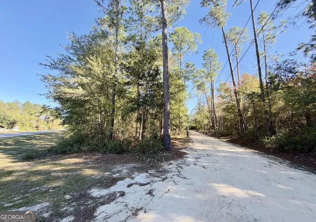 Photo 1 of Single family home for sale at 699 Pat Dixon Rd, Hazlehurst, GA 31539 | MLS# 10880624 | Listing updated on 2026-10-29