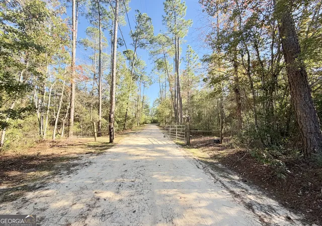 Photo 2 of Single family home for sale at 699 Pat Dixon Rd, Hazlehurst, GA 31539 | MLS# 10880624 | Listing updated on 2026-10-29