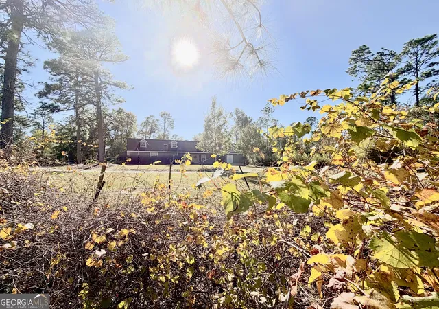 Photo 4 of Single family home for sale at 699 Pat Dixon Rd, Hazlehurst, GA 31539 | MLS# 10880624 | Listing updated on 2026-10-29