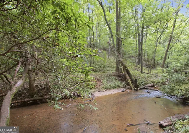 Photo 2 of Land for sale at 1582 Jennys Cvs Rd, Cleveland, GA 30528 | MLS# 10853401 | Listing updated on 2026-10-09