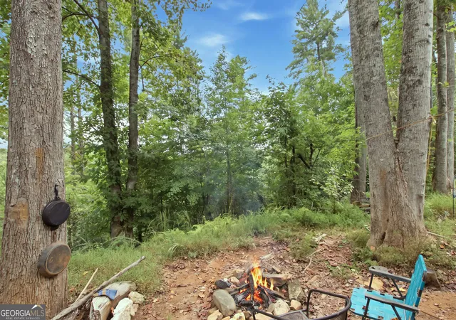 Photo 3 of Land for sale at 1582 Jennys Cvs Rd, Cleveland, GA 30528 | MLS# 10853401 | Listing updated on 2026-10-09
