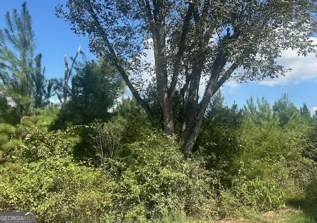 Photo 2 of Land for sale at 0 Cook Rd #TRACT 12, Monticello, GA 31064 | MLS# 10848938 | Listing updated on 2026-10-02