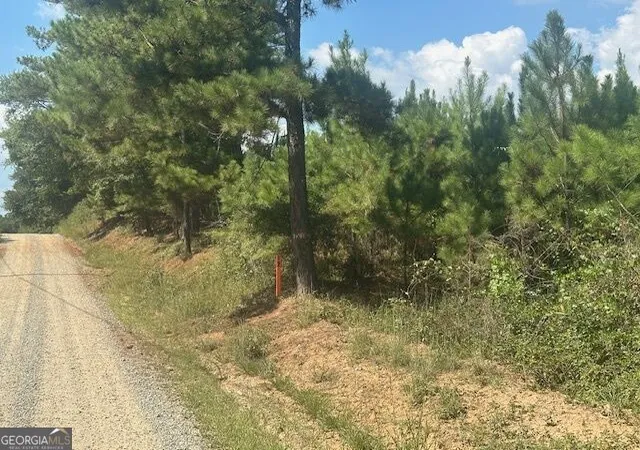 Photo 3 of Land for sale at 0 Cook Rd #TRACT 12, Monticello, GA 31064 | MLS# 10848938 | Listing updated on 2026-10-02