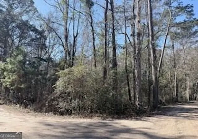 Photo 1 of Land for sale at 138 140 Dogwood Ln, Midway, GA 31320 | MLS# 10848764 | Listing updated on 2026-10-02
