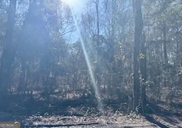 Photo 2 of Land for sale at 138 140 Dogwood Ln, Midway, GA 31320 | MLS# 10848764 | Listing updated on 2026-10-02