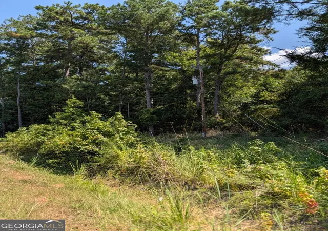 Photo 4 of Land for sale at 109 Stewart Ave Ne #A, Milledgeville, GA 31061 | MLS# 10831332 | Listing updated on 2026-09-08