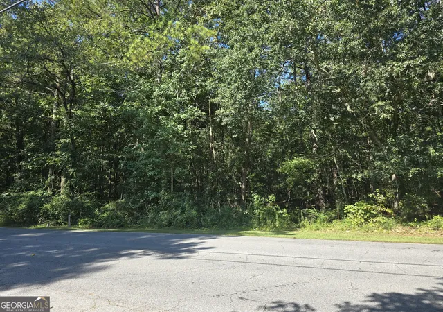 Photo 2 of Land for sale at 0 Phipps Rd, Palmetto, GA 30268 | MLS# 10843490 | Listing updated on 2026-09-24