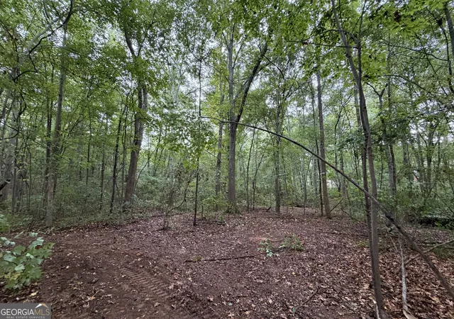 Photo 1 of Sale Pending at 0 Caney Head Rd, Roopville, GA 30170 | MLS# 10835859 | Listing updated on 2026-10-03