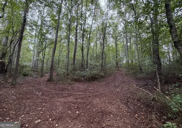 Photo 2 of Sale Pending at 0 Caney Head Rd, Roopville, GA 30170 | MLS# 10835859 | Listing updated on 2026-10-03