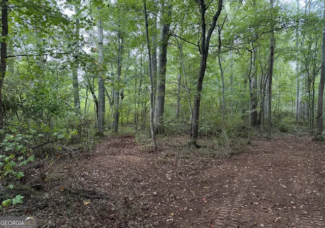 Photo 3 of Sale Pending at 0 Caney Head Rd, Roopville, GA 30170 | MLS# 10835859 | Listing updated on 2026-10-03