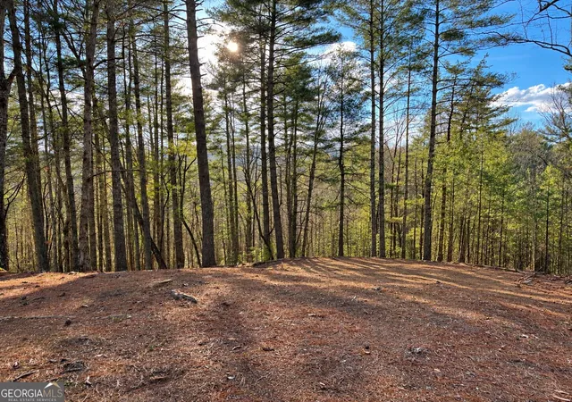 Photo 1 of Land for sale at 73 Jasmin Ct #73, Ellijay, GA 30540 | MLS# 10797362 | Listing updated on 2026-09-17