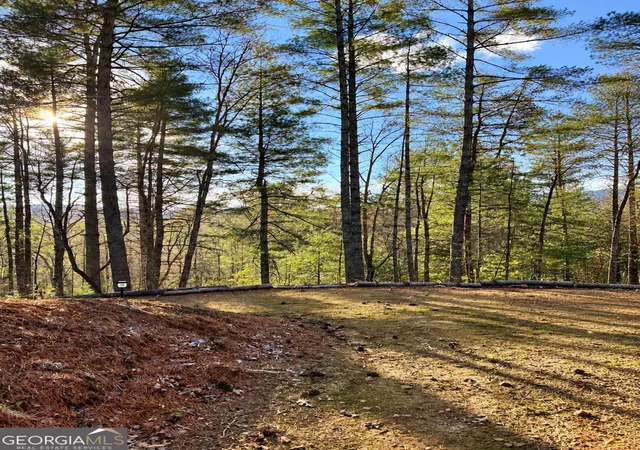 Photo 3 of Land for sale at 73 Jasmin Ct #73, Ellijay, GA 30540 | MLS# 10797362 | Listing updated on 2026-09-17