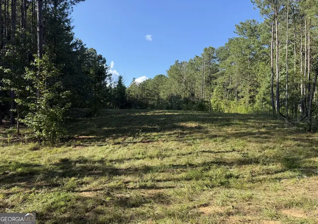Photo 4 of Land for sale at 0 Old Rico Rd, Palmetto, GA 30268 | MLS# 10768283 | Listing updated on 2026-09-16