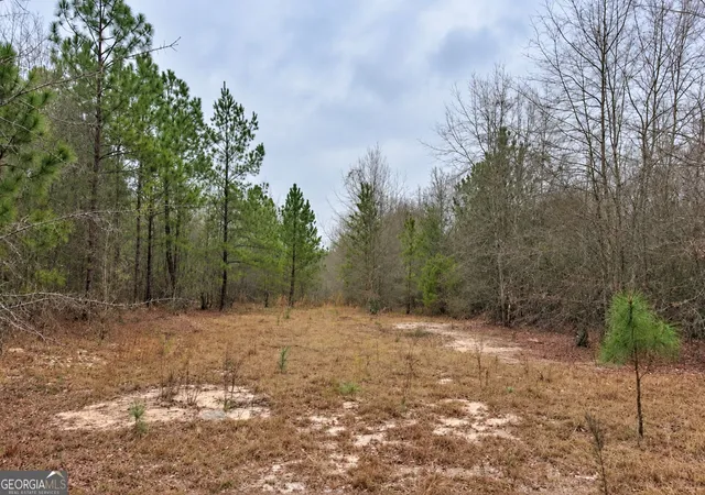 Photo 2 of Land for sale at 440 Modoc Rd, Swainsboro, GA 30401 | MLS# 10843187 | Listing updated on 2026-09-24