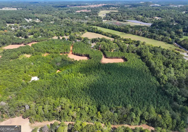 Photo 2 of Sale Pending at 0 Cashtown Rd Tract 4 #TRACT 4, Aragon, GA 30104 | MLS# 10846036 | Listing updated on 2026-10-06