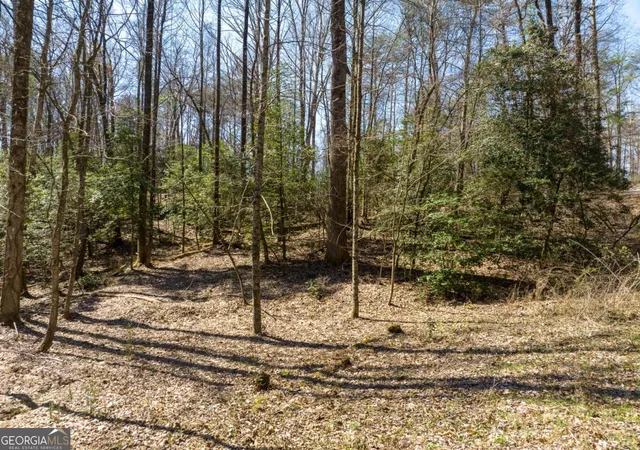 Photo 3 of Land for sale at Lot 193 Shenendoa Dr, Ellijay, GA 30540 | MLS# 10839774 | Listing updated on 2026-09-17