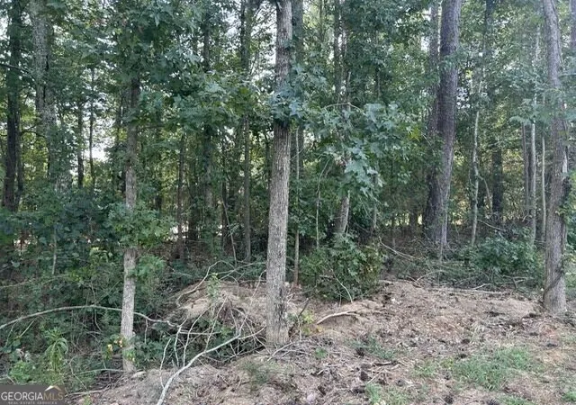 Photo 3 of Land for sale at 430 Winged Ft Dr, Mcdonough, GA 30253 | MLS# 10846507 | Listing updated on 2026-09-30