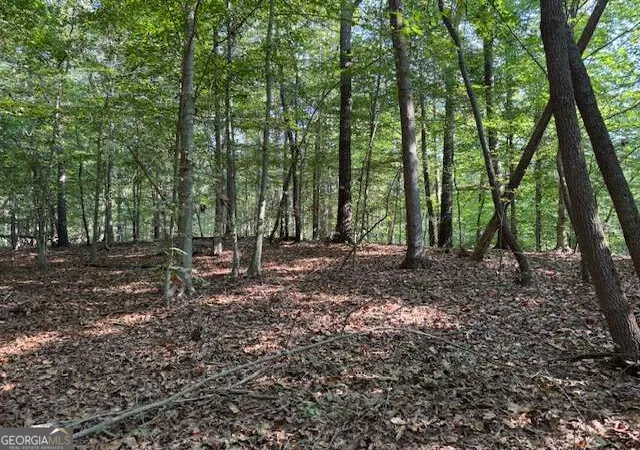 Photo 3 of Land for sale at 340 Jesse Martin Trl, Canton, GA 30115 | MLS# 10848338 | Listing updated on 2026-09-23