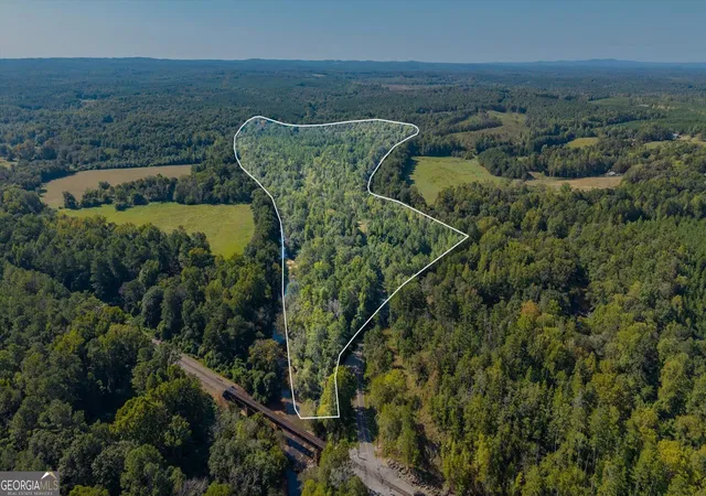 Photo 3 of Land for sale at 702 Liner Rd, Tallapoosa, GA 30176 | MLS# 10840395 | Listing updated on 2026-09-18