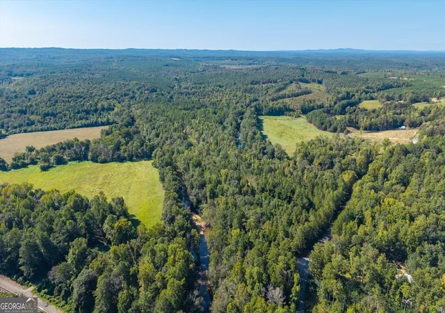 Photo 3 of Land for sale at 702 Liner Rd, Tallapoosa, GA 30176 | MLS# 10840395 | Listing updated on 2026-09-18