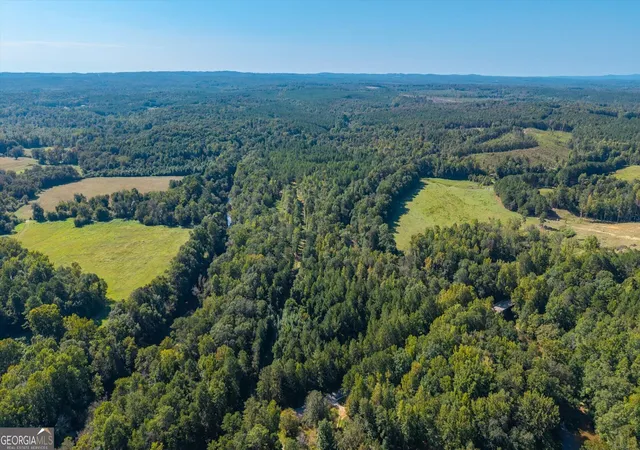 Photo 4 of Land for sale at 702 Liner Rd, Tallapoosa, GA 30176 | MLS# 10840395 | Listing updated on 2026-09-18