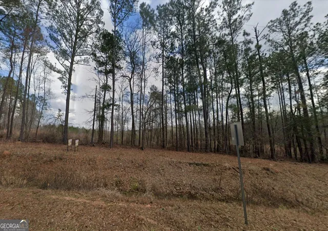 Photo 2 of Land for sale at 2255 Willow Lake Rd, Fort Valley, GA 31030 | MLS# 10843158 | Listing updated on 2026-09-10