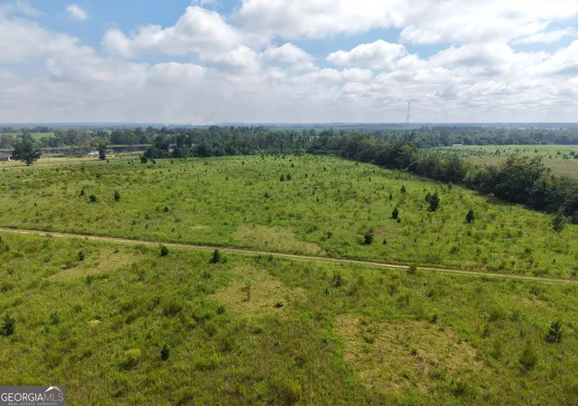 Photo 2 of Land for sale at 0 Ga Hwy 298 Parcel 2, Vidalia, GA 30474 | MLS# 10839431 | Listing updated on 2026-09-17