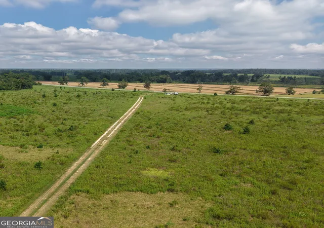 Photo 3 of Land for sale at 0 Ga Hwy 298 Parcel 2, Vidalia, GA 30474 | MLS# 10839431 | Listing updated on 2026-09-17