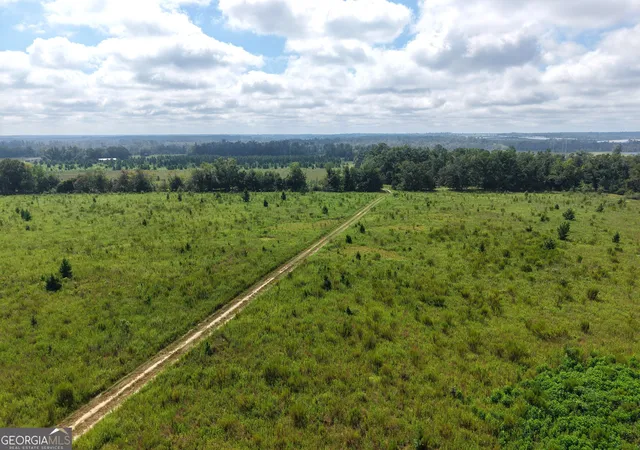 Photo 3 of Land for sale at 0 Ga Hwy 298 Parcel 2, Vidalia, GA 30474 | MLS# 10839431 | Listing updated on 2026-09-17