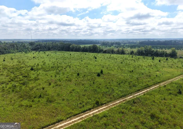 Photo 4 of Land for sale at 0 Ga Hwy 298 Parcel 2, Vidalia, GA 30474 | MLS# 10839431 | Listing updated on 2026-09-17
