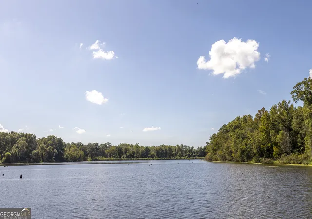 Photo 1 of Land for sale at 568 Highway 118 W, Smithville, GA 31787 | MLS# 10851723 | Listing updated on 2026-10-07