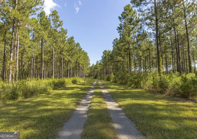 Photo 2 of Land for sale at 568 Highway 118 W, Smithville, GA 31787 | MLS# 10851723 | Listing updated on 2026-10-07