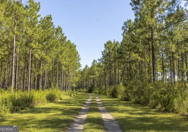 Photo 3 of Land for sale at 568 Highway 118 W, Smithville, GA 31787 | MLS# 10851723 | Listing updated on 2026-10-07