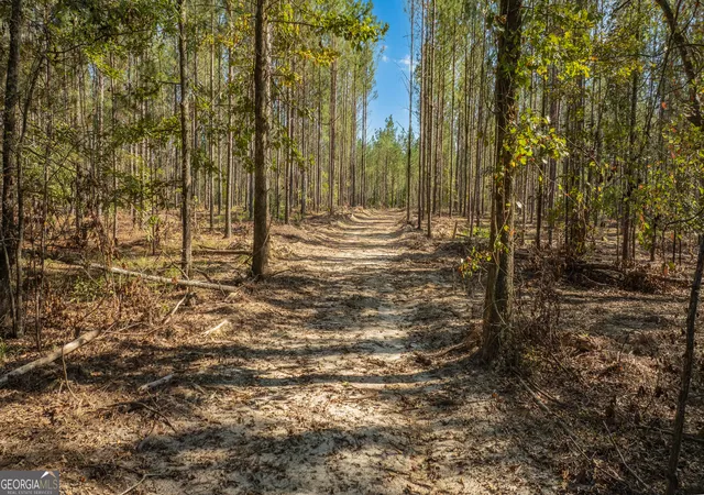 Photo 1 of Land for sale at 0 Sw Livingston Rd, Rome, GA 30161 | MLS# 10843592 | Listing updated on 2026-09-24