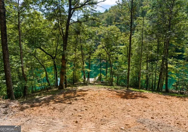 Photo 3 of Land for sale at Lt 44&45 Overlook Dr, Cherry Log, GA 30522 | MLS# 10840193 | Listing updated on 2026-09-18