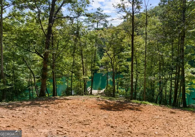Photo 4 of Land for sale at Lt 44&45 Overlook Dr, Cherry Log, GA 30522 | MLS# 10840193 | Listing updated on 2026-09-18